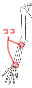 肘、手首関節