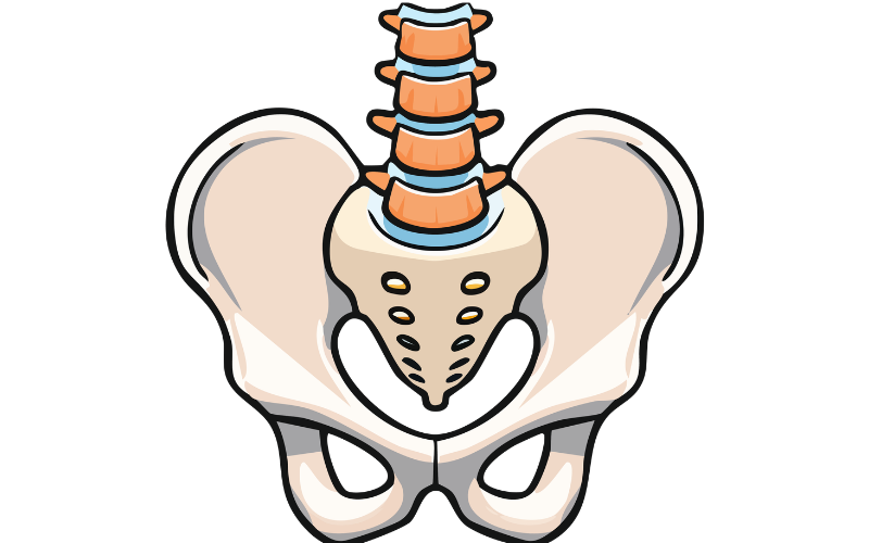 骨盤の歪みの3つのパターン（前傾・後傾・左右のズレ）