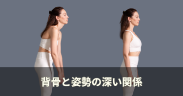 背骨とは何か｜整体師が教える姿勢との深い関係と歪みを防ぐ方法